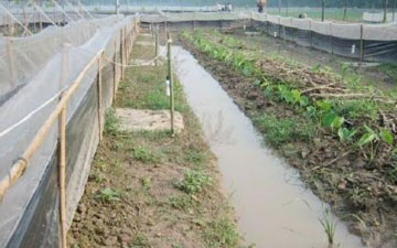 青蛙養殖防逃網