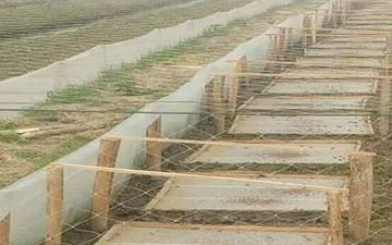 吉林青蛙養殖圍網哪里有