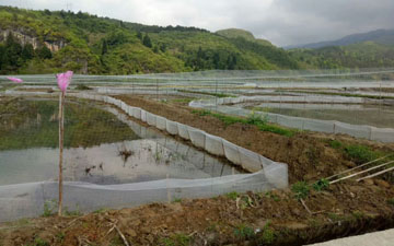 青蛙養殖食臺網布生產廠家